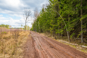 Impassable road in forest of Moscow region Russia