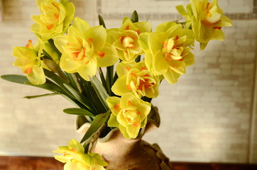 On the table is a vase with spring fresh yellow fragrant flowers of daffodils.