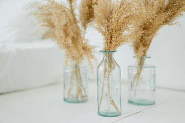 Pampas dry grass in blue vases on white background. Boho style decorations. Scandinavian minimalism interior decor