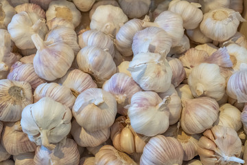 Garlic in the box. Large vegetables. Selling a crop in the market. Natural, healthy, vitamin-rich foods. Food for health.