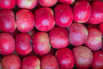 Multi-colored apples in a box. Selling crops on the market. Natural, healthy, vitamin-rich foods. Food for health. A variety of types of apples: yellow, red, green, variegated, with dots.