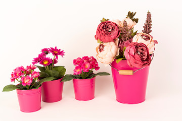 Peonías y gerberas rosas.