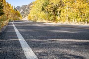 road in autumn