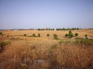 Fototapeta na wymiar Scenic View Of Field Against Clear Sky