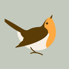 robin red breast bird, vector illustration, flat style