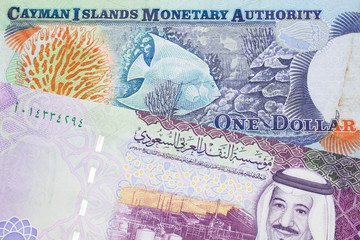 A Saudi Arabian five riyal note close up in macro with colorful money from the Cayman Islands