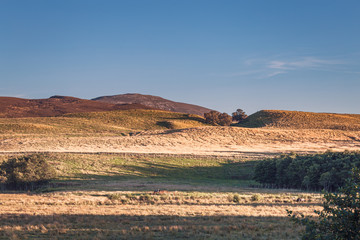 Mountain Range of the North Highlands of Scotland