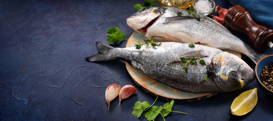 Dorado fishes with ingredients on dark blue background