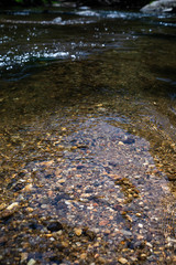 rocks in river