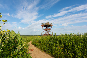 Observation deck on a hot and sunny summers morning.  Dixon waterfowl refuge, Hennepin, Illinois. 