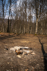 Fireplace from wood and stones with ashes and  without a fire in a romantic forest early in early spring