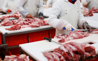 A group of worker in meat factory, chopped a fresh beef meat in pieces on metal work table, industry of processing food.
