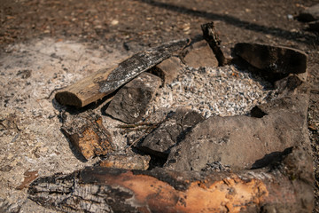 Fireplace from wood and stones with ashes and  without a fire in a romantic forest early in early spring