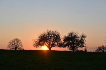Sonne, Sonnenuntergang, leuchten, abendrot, morgenrot, Sonnenr&ouml;te, r&ouml;te, Abendstimmung