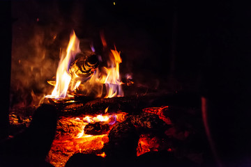 A bonfire on the nature at night