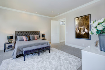 Master bedroom interior with king size bed. Luxury American modern home.