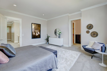 Master bedroom interior with king size bed. Luxury American modern home.