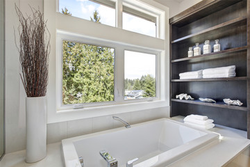 Bathroom interior with a drop in tub. Luxury American modern home.