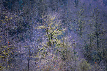 spider web in the grass