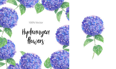 Hydrangea frame and flower