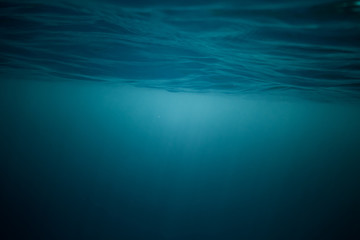 Underwater view of sea - obrazy, fototapety, plakaty