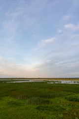 View from the observation deck in Dixon Waterfowl Refuge at sunrise.
