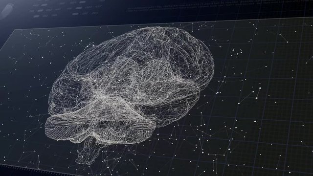 Human brian study on diagnostic computer display.
