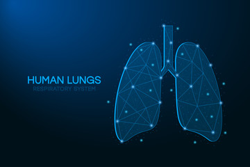 Human lungs illustration made by points and lines, polygonal wireframe mesh on blue background. Low poly respiratory system. Medicine, science. Vector.