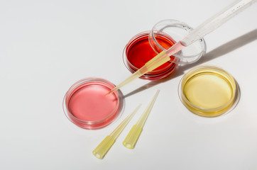 Medical laboratory for molecular research and diagnostic of human health. Samples of the blood cell...