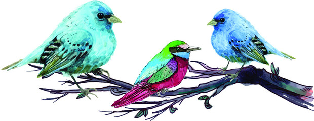watercolor birds sitting on branch of tree