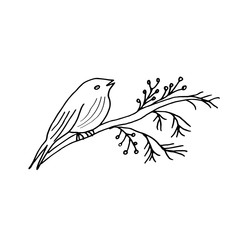 A beautiful bird sits on a branch with leaves and berries. Bird on a white background. Doodle Black lines on a white background. Coloring.
