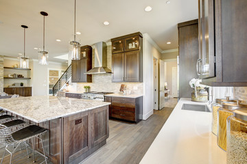 Luxury kitchen in a new construction home. Luxury American modern home.