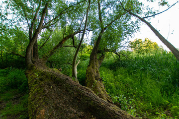natural scenery in Germany 