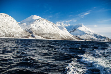 snow covered mountains © Bartosz