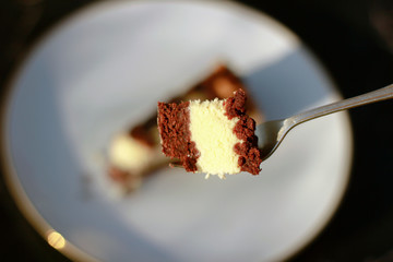 piece of cake on a fork cheesecake, pastry, pie, homemade, dessert, chocolate cheesecake, food, sweet, plate, tart, baked, chocolate, breakfast, snack, delicious, berry, cream, blueberry, meal, eating