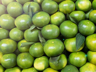 Vitamin C is required to stay healthy, fit and fit