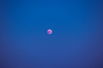 Vollmond bei Mitternacht: Blutmond