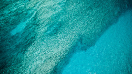 Aerial view of coral reef in sea
