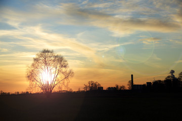 Złoty zachód słońca za krzewem, kolorowe chmury. © Stanisław Błachowicz