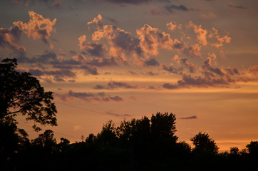 Orange Sunset Sky with Puffy Clouds and Dark Trees