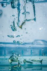 high speed water photo - screws