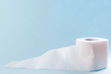 Roll Of Toilet Paper Isolated On White Background