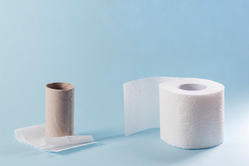 Toilet paper unrolling