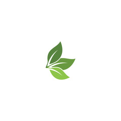 Fototapeta na wymiar Green garden green leaf Logo Template