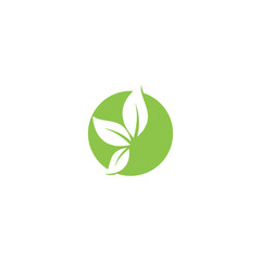 Green garden green leaf Logo Template