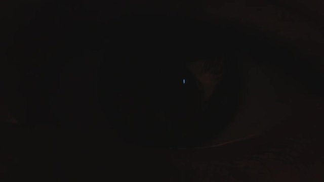Extreme close up shot of a male hazel coloured eye showing the constriction of the pupil as the light turns on.