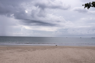Deserted beach on the island of Bali. Clouds and clouds with rain of dark blue color. Sandy beach with sea and ocean. Tropical view. Hurricane.