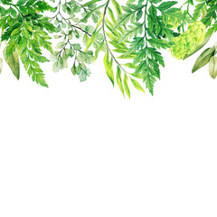 Watercolor leaves, greenery and ferns header, seamless border