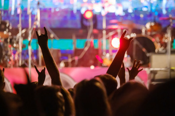 Fans at live rock music concert cheering