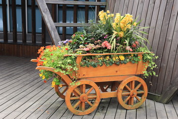 Fototapeta na wymiar Wooden cart of plants decoration, with colored flowers